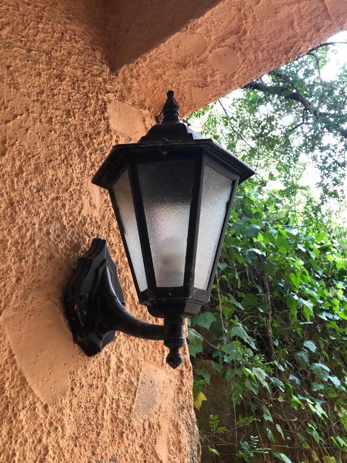 Hartmut Friedrich Apartment Puerto de Sóller المظهر الخارجي الصورة